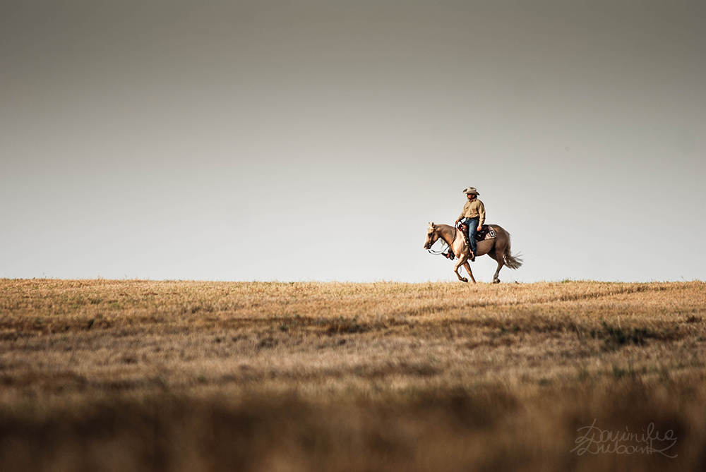 prairie