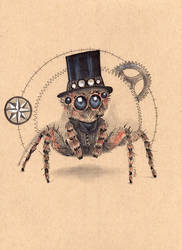 Steampunk Jumping Spider