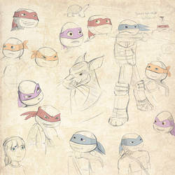 TMNT: Expressions