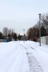 Snowy Path