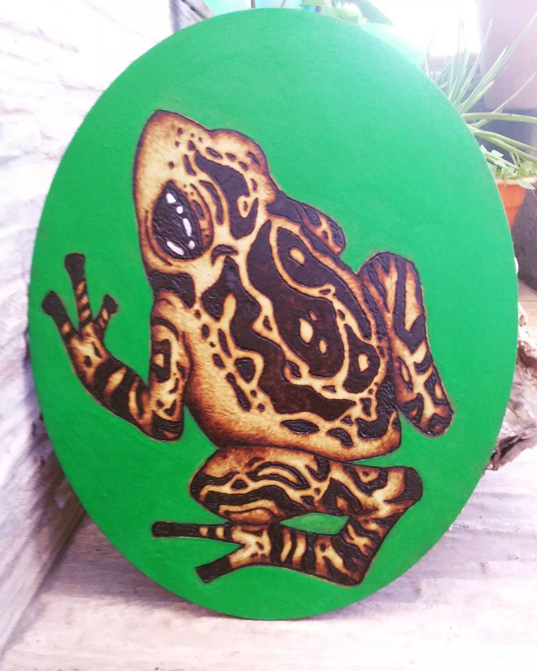 Frog pyrography by stefano-roca on DeviantArt