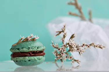 Hazelnut macarons