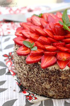 Chocolate mascarpone cake