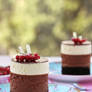 Chocolate mousse mini cakes