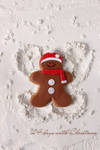 24 days until Christmas by kupenska
