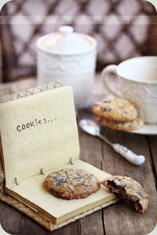 Oatmeal cookies vintage style