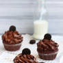 The best chocolate cupcakes