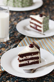 Black Forrest gateau slice