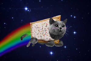 Nyan Cat