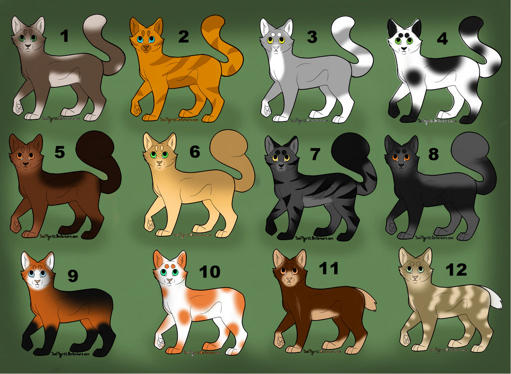 Cat Adoptables