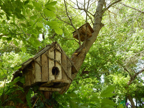 Bird Houses