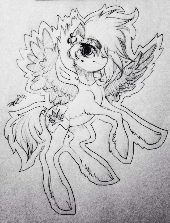 Lotus Punk Pony