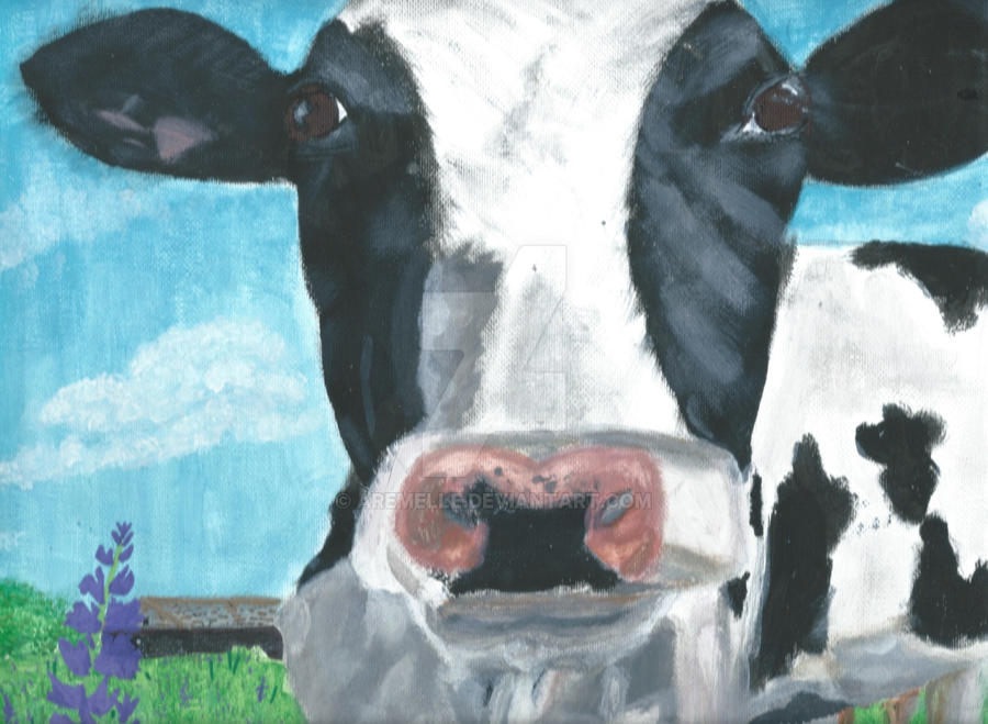 Moo by Aremelle on DeviantArt
