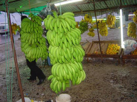 bananas