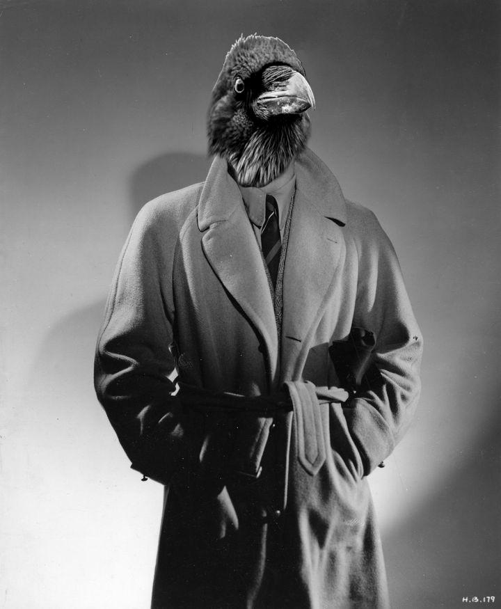 RavenMan by juttney on DeviantArt