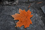 Faux Autumn Leaf II