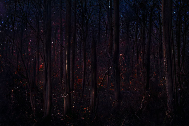 Embers by Things0fMagic on DeviantArt