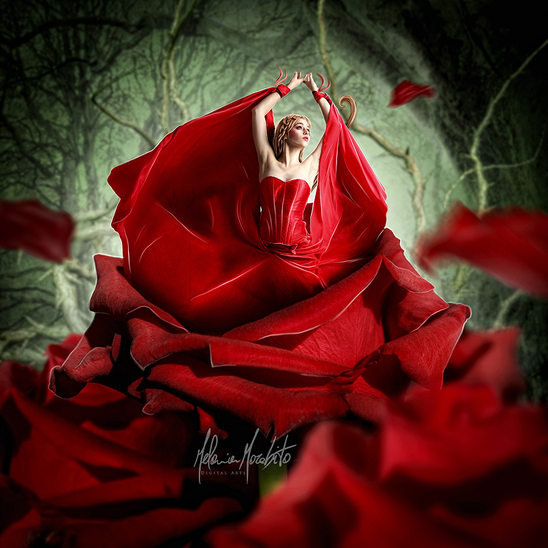 Темно алые розы а на душе лишь