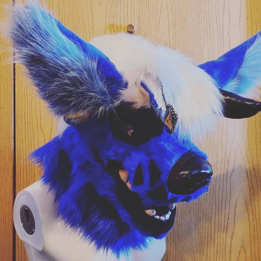 Fursuit Example Fursuit Example 4 (old) by chronomayne on DeviantArt