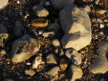 Sand, rocks and shells