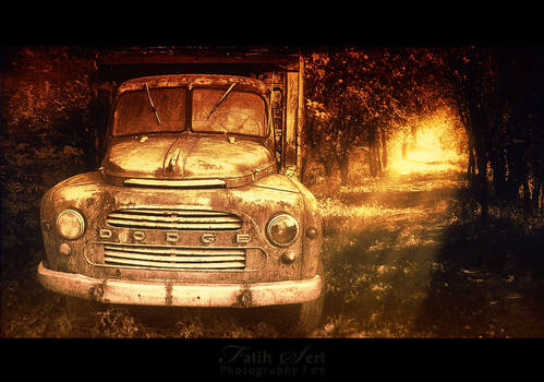 Old Dodge in forest