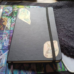 2nd sketchbook (3 years old)