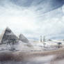 Desert Blizzard