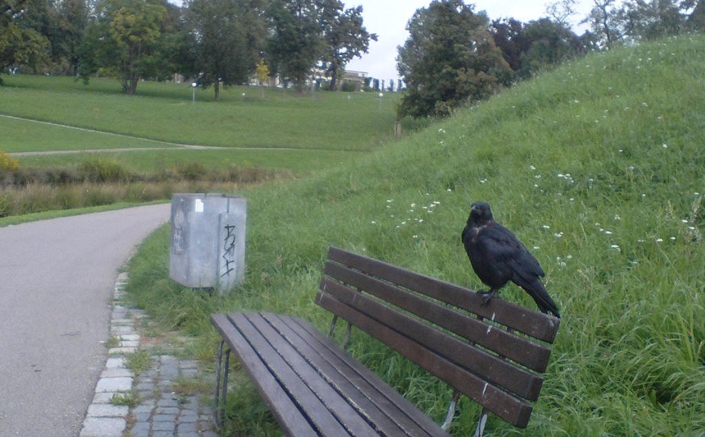 Kaggi Karr comes to visit 1 by whitesteelpencil on DeviantArt