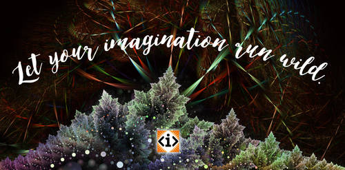 Wild-imagination