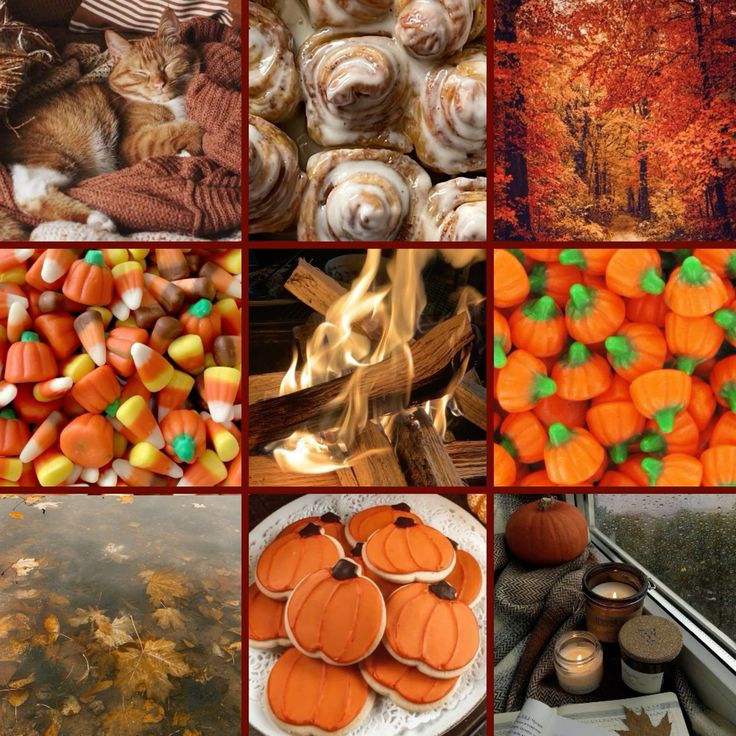 Fall Moodboard Adopt(CLOSED) by UnneededAccount1234 on DeviantArt