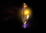 Incandescence by Szellorozsa