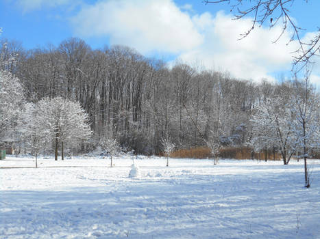 Snowy Landscape