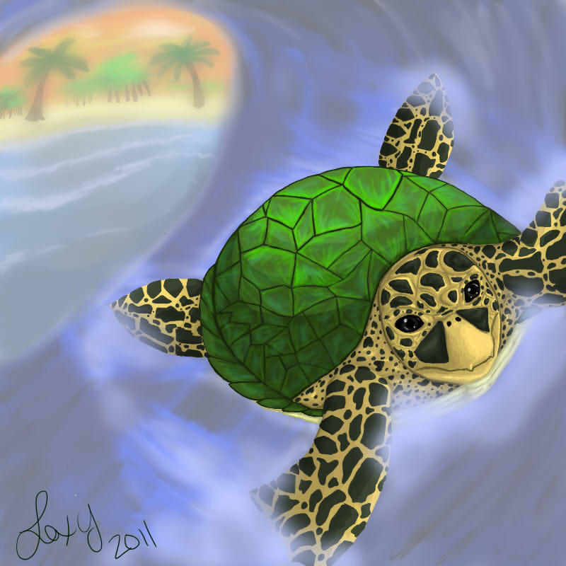 Deviantart Softshell Turtle :: Turtle Request :: by Skunky04 on DeviantArt