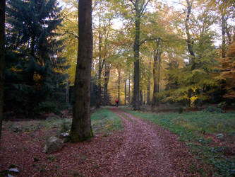 Taunus Oct 2011