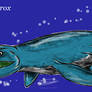Liopleurodon ferox