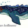 Mosasaurus hoffmanni