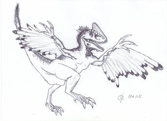 Dino-Bird (III.)