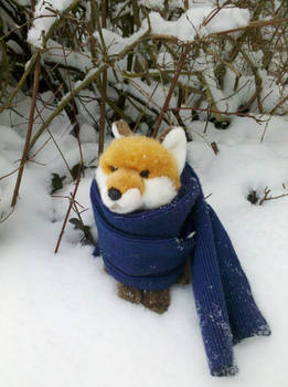 Fox in the snow