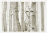 Camouflage by PAtScHWOrK