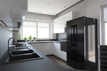 White and black kitchen