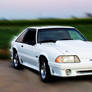 Fox Body Mustang