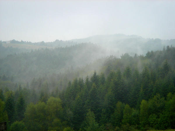 Stock 175: misty hills