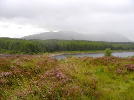 Stock 192: lake in heather 2