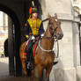Stock 250: London horse guard