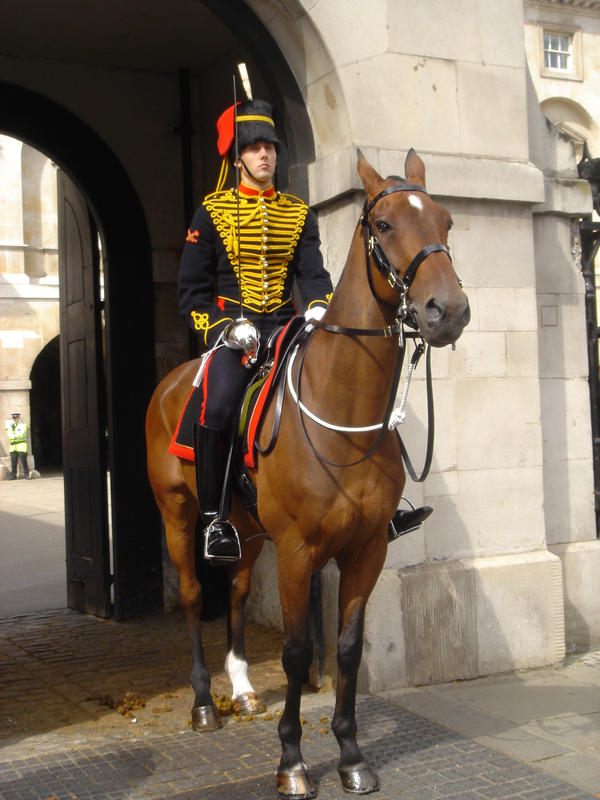 Stock 250: London horse guard