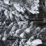 Stock 355: winter trees 5