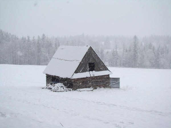 Stock 358: snowy house 1