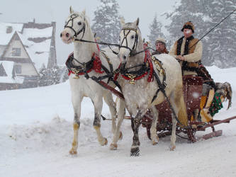 Stock 507: winter  sleigh by AlzirrSwanheartStock