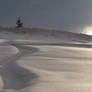 Stock 508: shiny winter field