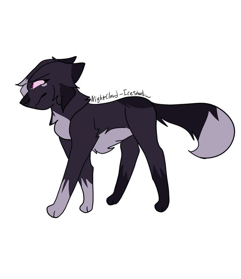 Nightcloud by LegendOfIce on DeviantArt